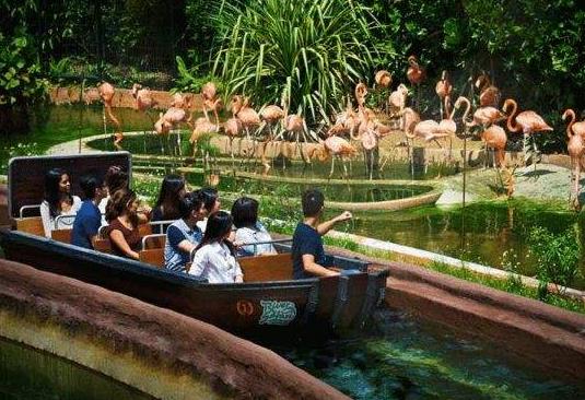 亞洲新加坡十大旅游景點排行榜 新加坡旅游有什么好玩的地方