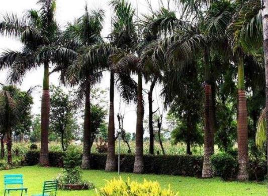 印度克久拉霍四大旅游景點排行榜 克久拉霍有什么好玩的地方