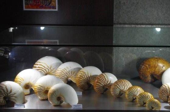 印度尼西亞巴厘島十大旅游景點排行榜 巴厘島旅游有什么好玩的地方