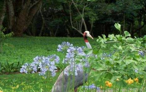 緬甸十大旅游景點排行榜 緬甸旅游有什么好玩的地方