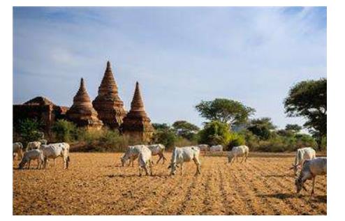 緬甸十大旅游景點排行榜 緬甸旅游有什么好玩的地方