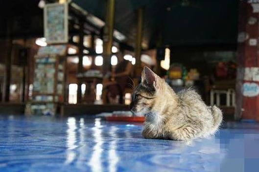 緬甸撣邦九大旅游景點排行榜 撣邦旅游有什么好玩的地方