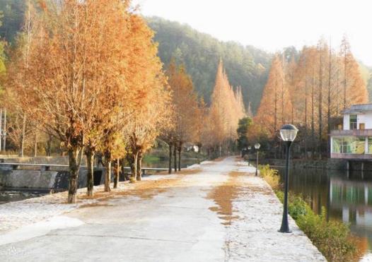 約旦十大旅游景點(diǎn)排行榜 約旦旅游有什么好玩的地方