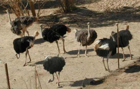 約旦十大旅游景點(diǎn)排行榜 約旦旅游有什么好玩的地方