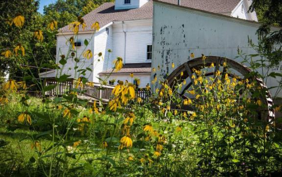 圣盧西亞五大旅游景點(diǎn)排行榜 圣盧西亞有什么好玩的地方