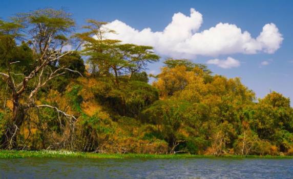 非洲肯尼亞裂谷省十大旅游景點排行榜 裂谷省有什么好玩的地方