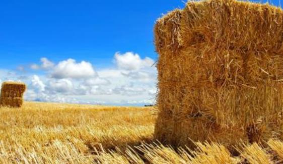 非洲肯尼亞中部省五大旅游景點(diǎn)排行榜 中部省有什么好玩的地方