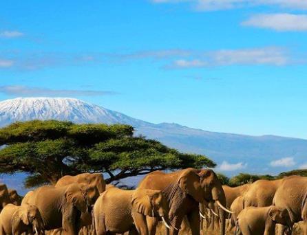 非洲加蓬七大旅游景點排行榜 加蓬有什么好玩的地方
