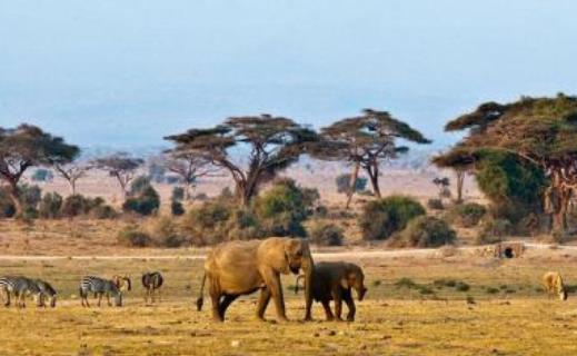 非洲斯威士蘭六大旅游景點排行榜 斯威士蘭有什么好玩的地方