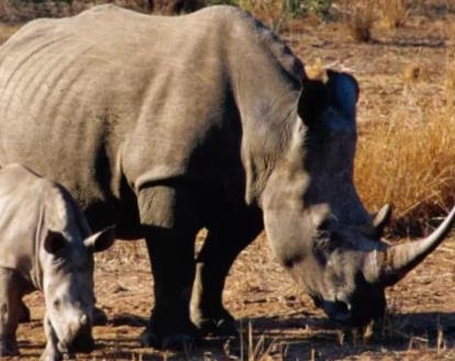 非洲斯威士蘭六大旅游景點排行榜 斯威士蘭有什么好玩的地方