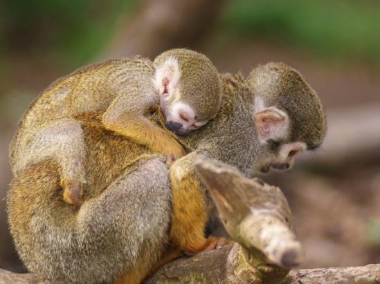 英格蘭貝德福德郡三大旅游景點排行榜 貝德福德郡好玩的地方推薦