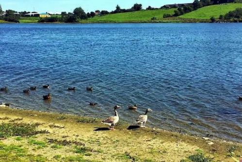 英國貝爾法斯特十大旅游景點排行榜 貝爾法斯特好玩的地方推薦