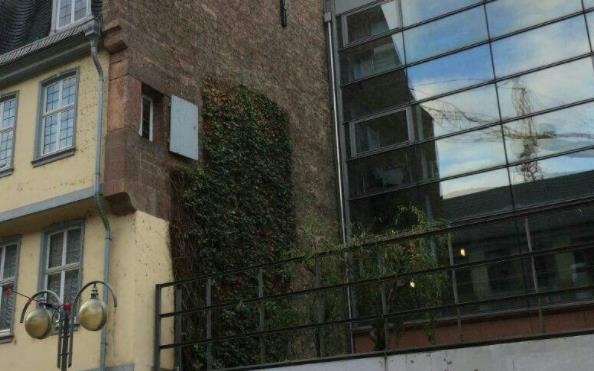 黑森林法蘭克福博物館十大旅游景點排行榜 好玩的地方推薦