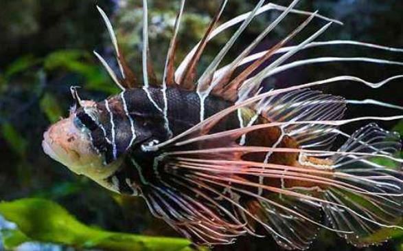 黑森林法蘭克福十大旅游景點(diǎn)排行榜 好玩的地方推薦