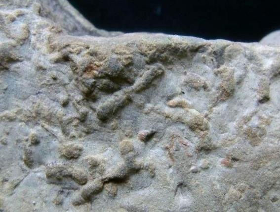 德國黑森州十大旅游景點排行榜 黑森州好玩的地方推薦