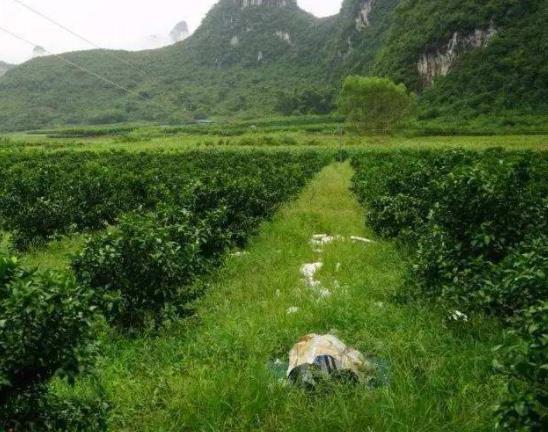 法國阿爾薩斯大區十大旅游景點排行榜 好玩的地方推薦