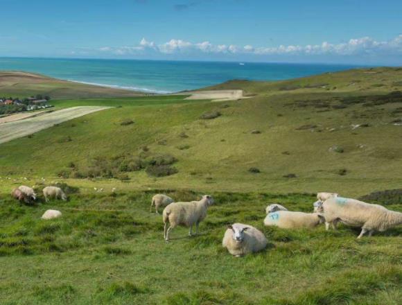 法國北部-加來海峽大區十大旅游景點排行榜 好玩的地方推薦