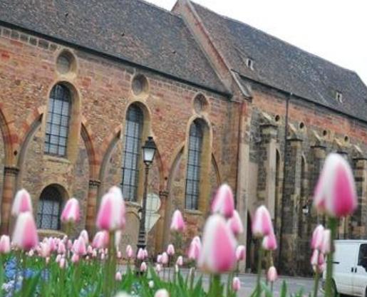 法國阿爾薩斯大區博物館五大旅游景點排行榜 好玩的地方推薦