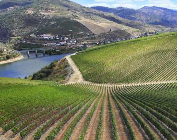 法國北部-加來海峽大區十大旅游景點排行榜 好玩的地方推薦