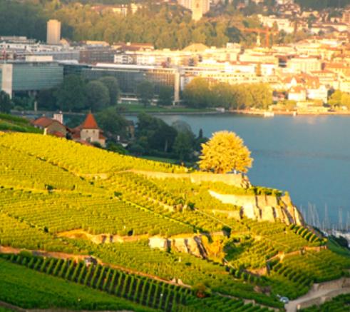 瑞士沃州十大旅游景點排行榜 西庸城堡是座代表瑞士的古城堡