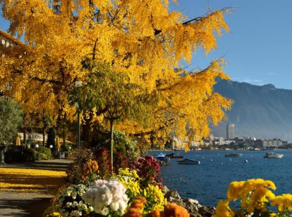 瑞士蒙特勒四大旅游景點排行榜 西庸城堡是座代表瑞士的古城堡