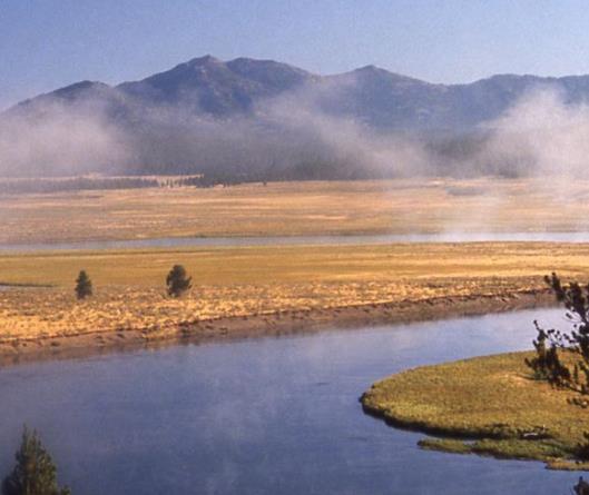 荷蘭十大旅游排行 庫肯霍夫公園這里是荷蘭最受歡迎的景點