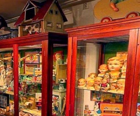 俄羅斯圣彼得堡博物館五大旅游排行 國立北極南極博物館深受探險者的歡迎