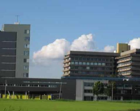 荷蘭烏特勒支省十大旅游排行 迪克•布魯納故居成為永久展示米菲兔的博物館