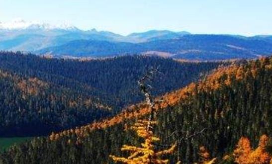 荷蘭格羅寧根省五大旅游排行 格羅寧根是格羅寧根省的首府