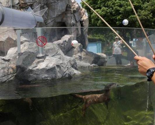 荷蘭德倫特省六大旅游排行 埃門動物園為歐洲最佳動物園之一