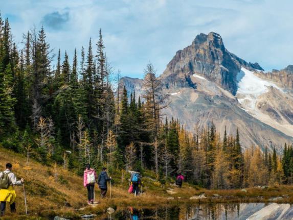 荷蘭弗里斯蘭省五大旅游排行 艾斯天文館是世界上最古老的天文館