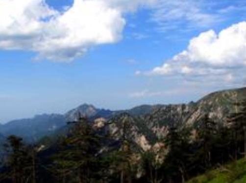 荷蘭德倫特省六大旅游排行 埃門動物園為歐洲最佳動物園之一