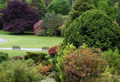 愛爾蘭凱里郡十大旅游排行 加勒魯斯小教堂是一個早期基督教教堂