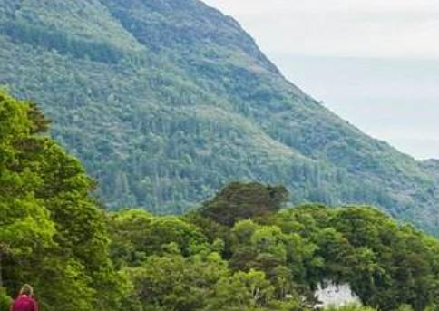 愛爾蘭凱里郡十大旅游排行 加勒魯斯小教堂是一個早期基督教教堂