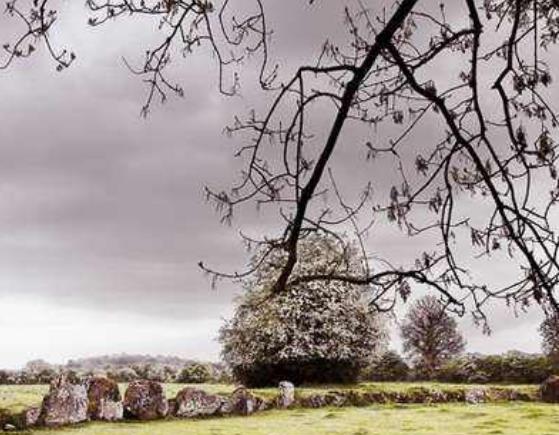 愛爾蘭利默里克郡十大旅游排行 福因斯飛船博物館曾是萬維網服務器群的所在地