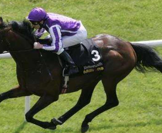 愛爾蘭基爾代爾郡六大旅游排行 愛爾蘭國家馬場始建于1900年