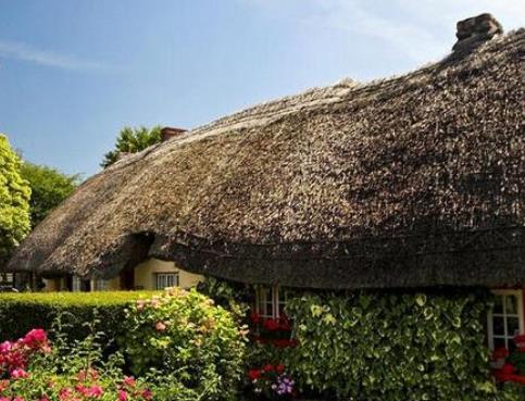 愛爾蘭利默里克郡十大旅游排行 福因斯飛船博物館曾是萬維網服務器群的所在地