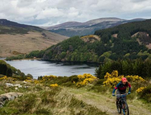 愛爾蘭威克洛郡九大旅游排行 鮑爾斯考特莊園是一座巨大的莊園