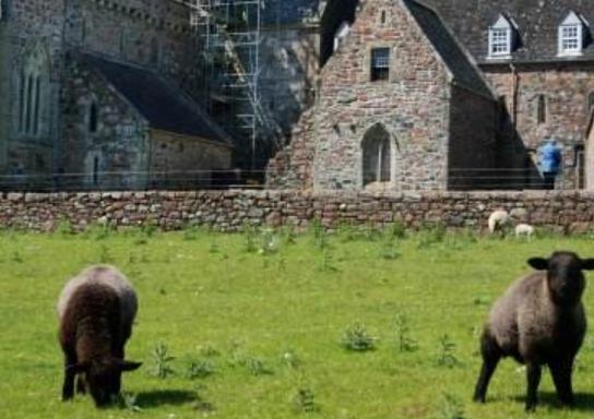 葡萄牙新特拉四大旅游景點排行 佩納王宮集滑稽的仿哥特風格