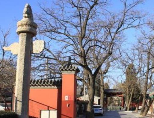 葡萄牙十大旅游排行 電力博物館坐落于葡萄牙首都里斯本的貝倫區