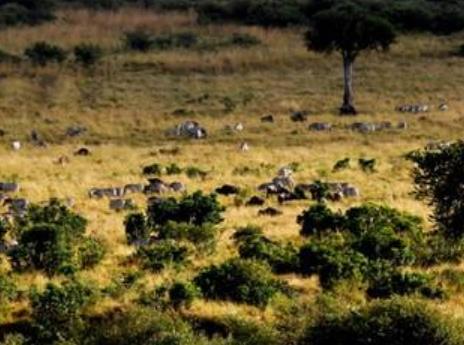 比利時(shí)布魯塞爾十大旅游排行 人類熱情之廟是新藝術(shù)運(yùn)動(dòng)風(fēng)格的建筑