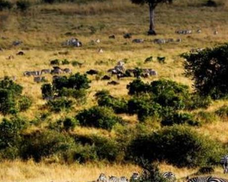 比利時十大旅游排行 布魯日有“北方威尼斯”“佛蘭得珍珠”等美稱