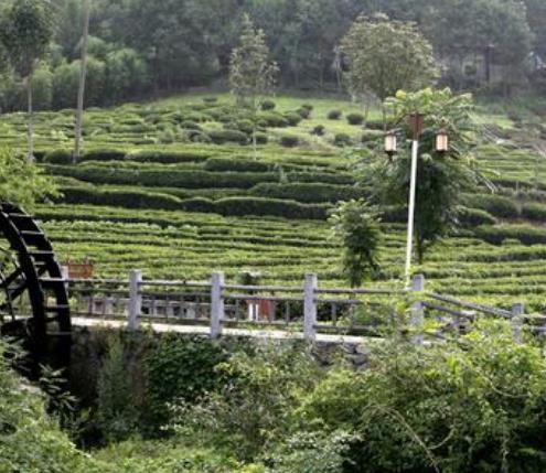 全國十大免費(fèi)旅游景點(diǎn)排行 湖南鳳凰古城為典型的少數(shù)民族聚居區(qū)