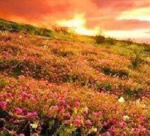 全球十大唯美小鎮旅旅游排行 薩倫托位于哥倫比亞翠綠的群山之中