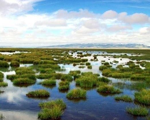 中國十大最美濕地旅游景點排行 額爾古納濕地是觀賞濕地的主要地點