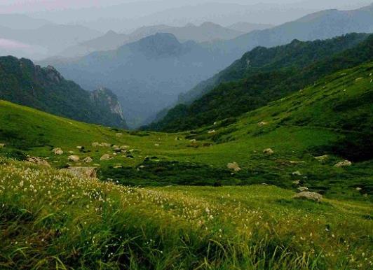最值得冒險的十大景點旅游排行 雅魯藏布大峽谷是海拔最高的峽谷