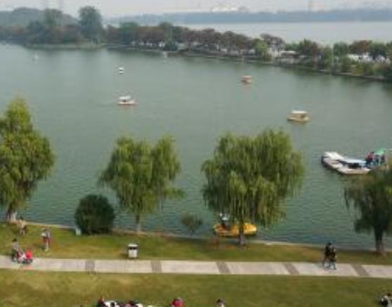 真實存在的世界十大美景旅游景點排行 紫藤隧道格外美麗與神秘