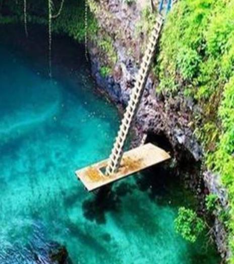 真實存在的世界十大美景旅游景點排行 紫藤隧道格外美麗與神秘