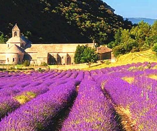 世界十大花海旅游景點(diǎn)排行 英國罌粟花海猶如紅色的海洋一般