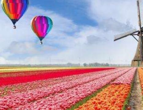 世界十大花海旅游景點(diǎn)排行 英國罌粟花海猶如紅色的海洋一般